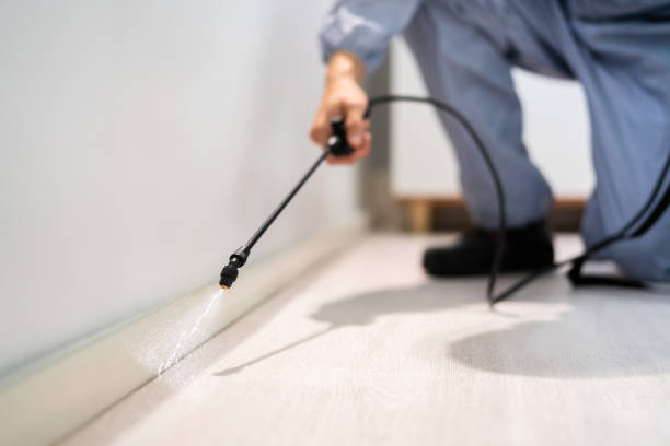 Licensed Pest Control service in Montgomery County County, NC - Nex Pest Control