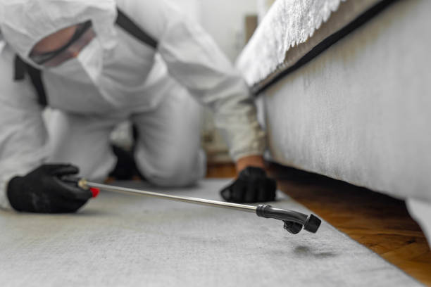 Professional Pest Control technician working in Montgomery County County, NC